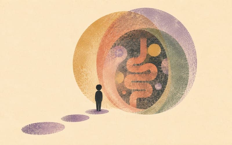 Interoception and gut symptom mapping in autistic experience