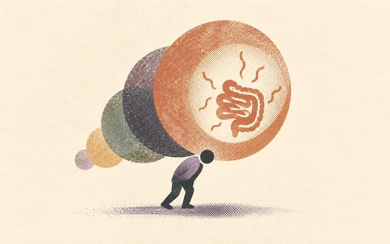 Physical load model showing gut symptoms as part of autistic burnout burden