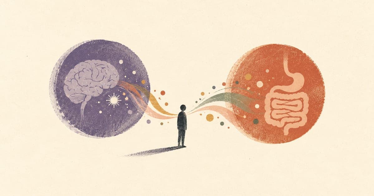 Editorial illustration of gut-brain signalling across stress, mood, and autistic burnout