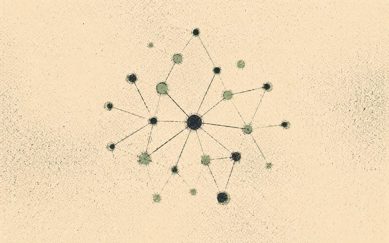 NSW university nodes connected across a stylised map outline, Risograph in sage green and charcoal on cream