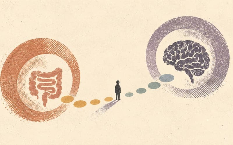Editorial myth-versus-mechanism depiction of gut serotonin and brain serotonin pathways