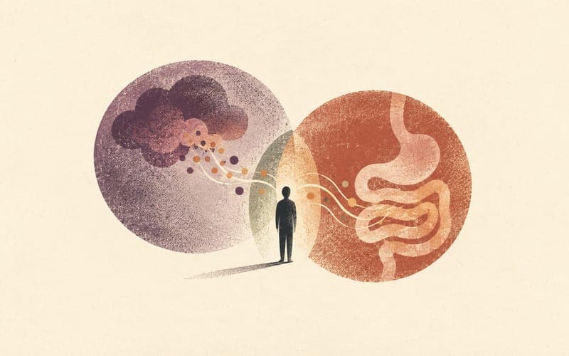 Stress physiology illustration connecting cortisol signalling with gastrointestinal response