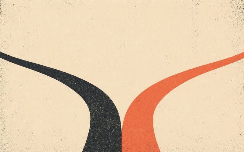 Two diverging paths representing the 5+1 internship and clinical masters registration streams