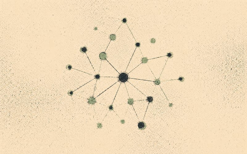 NSW university nodes connected across a stylised map outline, Risograph in sage green and charcoal on cream